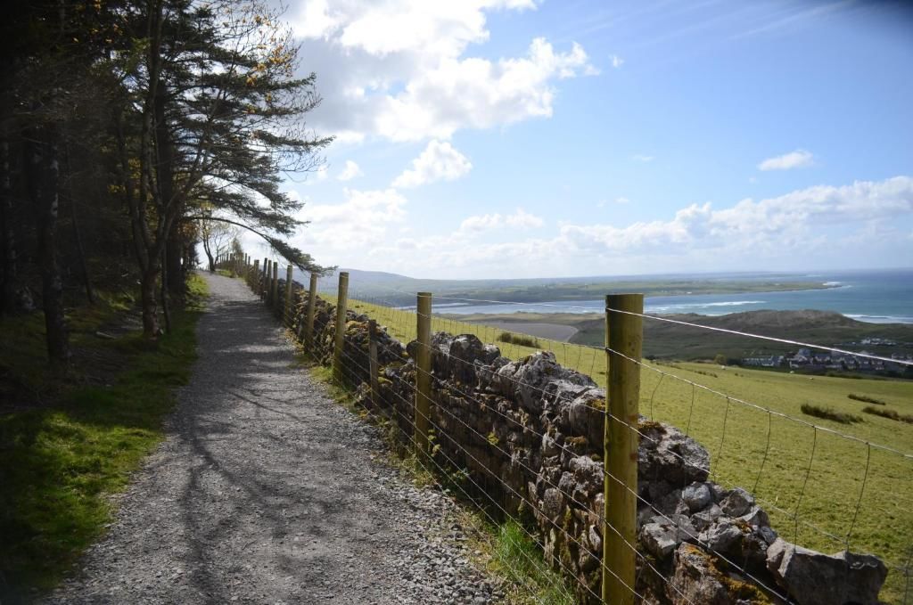 Гостевой дом Strandhill Lodge, Hostel & Surf Слайго